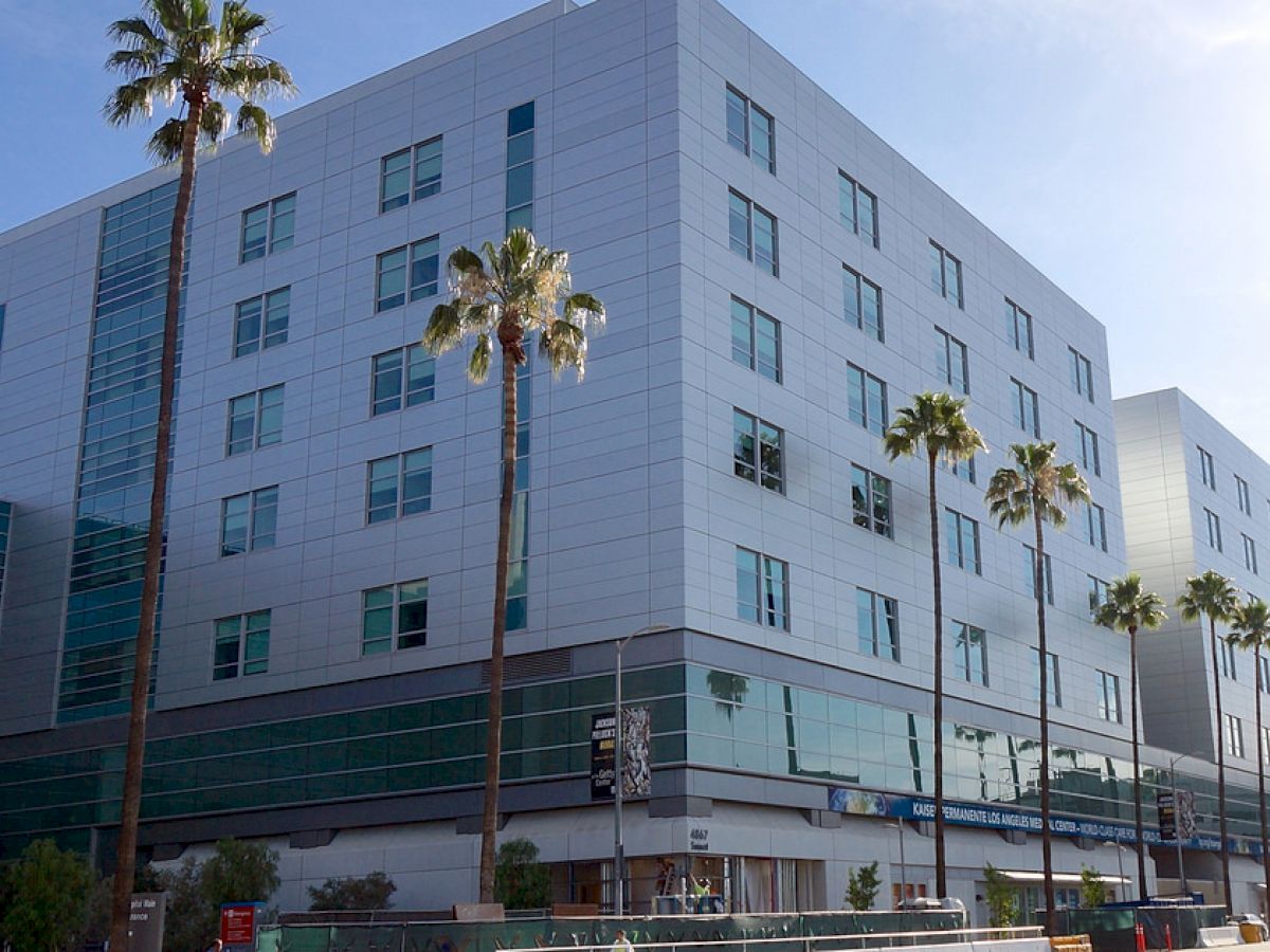 A modern multi-story building with large windows, palm trees in front, clear blue sky, and a few storefronts at ground level.