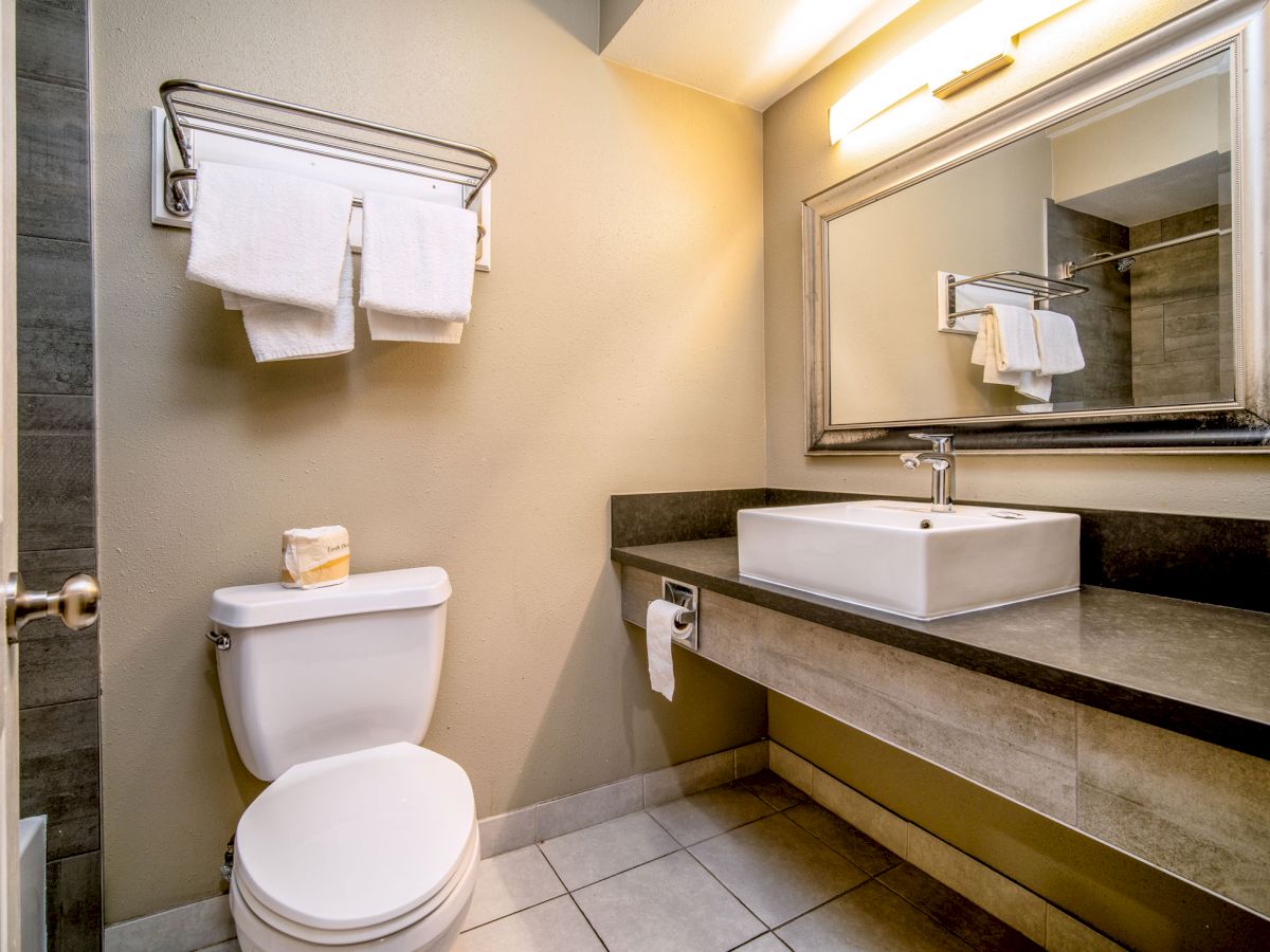 A modern bathroom featuring a toilet, a sink with a vanity, a large mirror, and towels on a wall-mounted rack above the toilet.